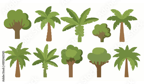 Cute Tropical Palm and Banana Trees Vector Illustration with Exotic Jungle Plants