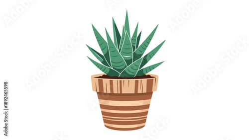 Simple vector illustration of a green succulent plant, like a haworthia, growing in a decorative striped terracotta-style pot.
