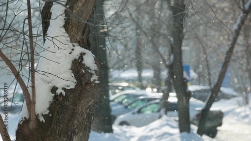 snowfall with glittering snow on a frosty day