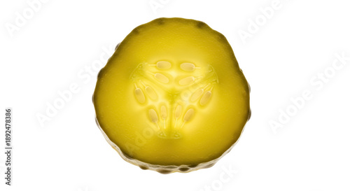 Obraz na plátně Pickle slice isolated PNG on transparent background, brined cucumber with seeds