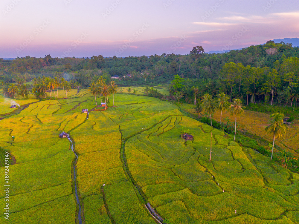 Obraz premium Beautiful morning view in Indonesia, panoramic landscape of rice fields with mountain ranges and clear sky