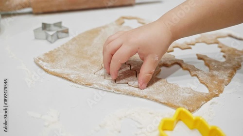 Experience the joy of Holiday Baking Fun Create scrumptious and delightful Holiday Cookies using festive Holiday Cookie Cutters with your family and friends for a memorable celebration