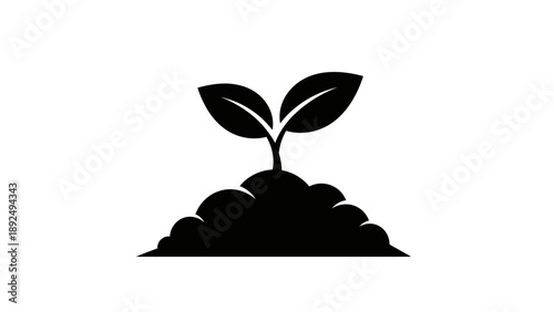 Small green plant growing in soil.