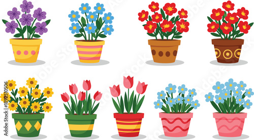 Colorful flowers in decorative pots on white background