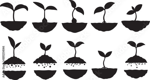 Plant Growth Stages Silhouette Vector Illustration Set