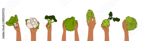 Human Hands Holding Various Cabbage Types