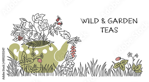 Wild and Garden Herbal Tea Illustration