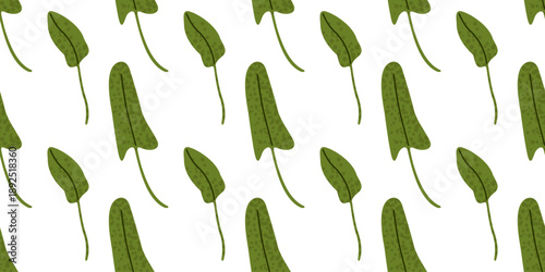 Sorrel leaves seamless food pattern. Repeating cartoon flat pattern with fresh green sorrel leaves, suitable for food packaging, kitchen decor, textile, and organic lifestyle design.