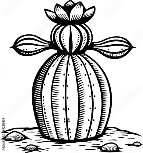 Barrel cactus with flower and buds illustrated in black and white desert plant sketch design