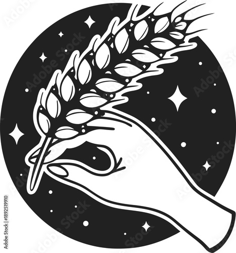 Hand holding a wheat stalk with stars in the background agricultural symbol, grain harvest, nature, rural concept