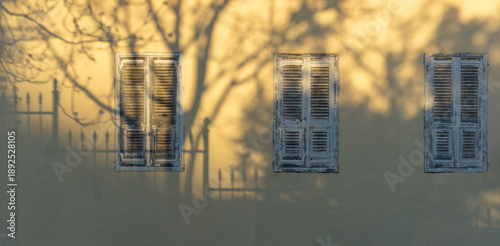 Tree and Fence Shadows on Ochre Yellow Wall with Three Traditional Wooden Window Shutters in Plaka Athens Greece Mediterranean Architecture