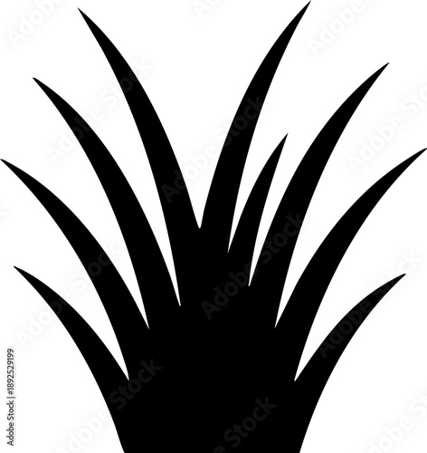 Sedge grass tuft silhouette isolated on white background minimalist triangular blades wetland botanical nature illustration