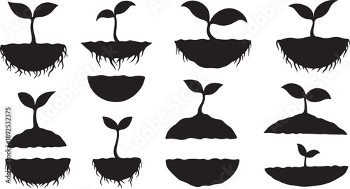 Set of black silhouettes of growing plants and seedlings