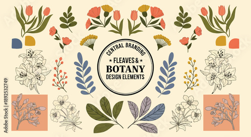 Vintage botanical design elements, retro floral leaves and botany collection, hand drawn garden flowers and foliage eps vector set