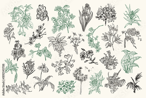 Abstract hand drawn flowers and leafs vector illustration collection. Artwork for greeting cards, posters, postcards, stationary, brand identity.	