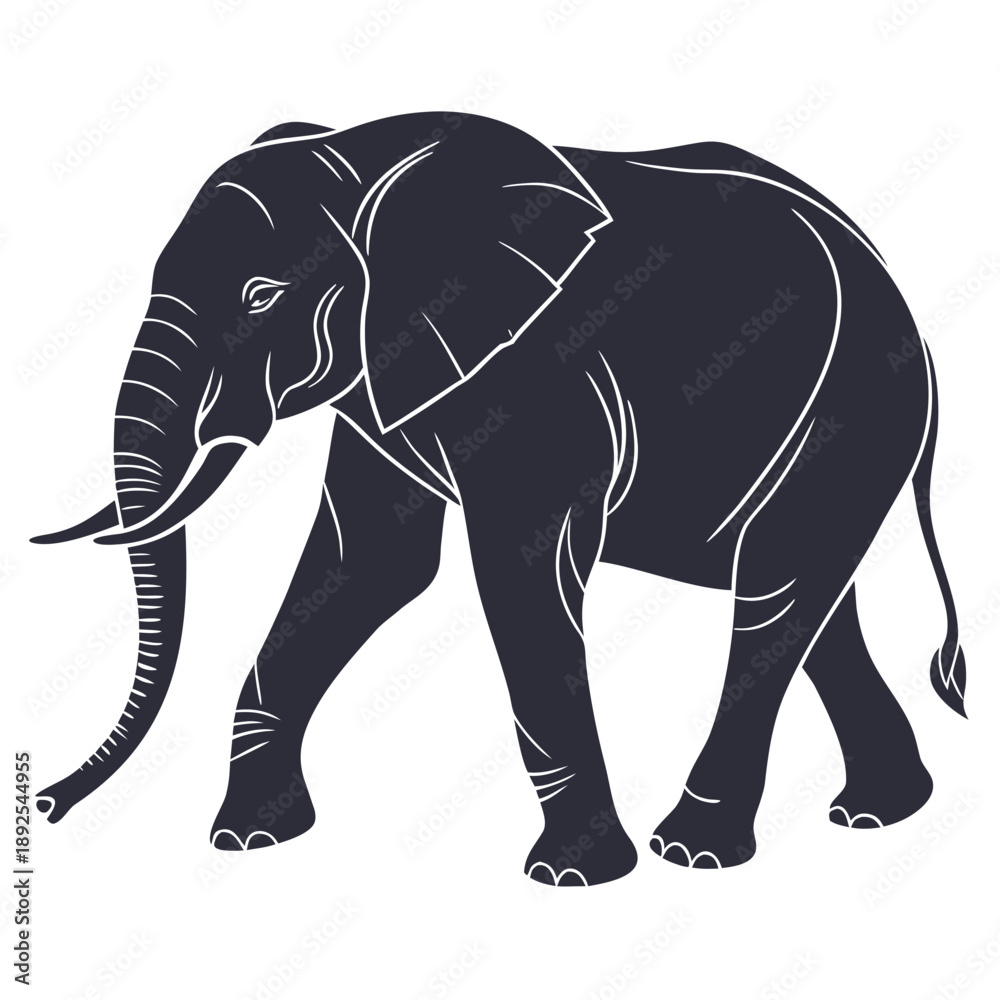 Fototapeta premium A large gray elephant standing alone on a clean white background with its trunk visible and tusks showing