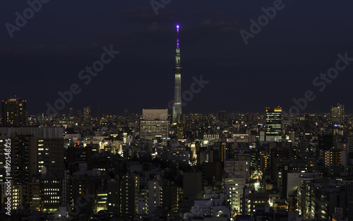 Wallpaper Mural View of a towering illuminated spire piercing the dark twilight sky above a sprawling cityscape of twinkling lights, Bunkyo City, Tokyo, Japan. Torontodigital.ca
