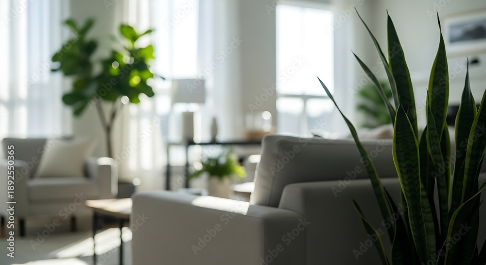Fototapeta premium Blurred of Cozy Modern Living Room with Plants and White Sofas