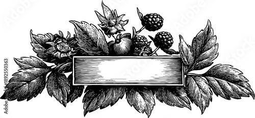 Vintage botanical garland frame with intricate engraving for design and decoration