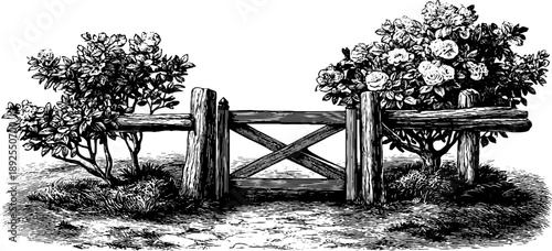 Vintage 19th century botanical garden gate engraving for design