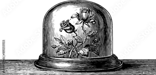 Vintage botanical illustration of roses in glass bell jar - retro engraving for design use