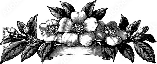 Ornate heraldic frame with floral scrolls and botanical patterns for retro design