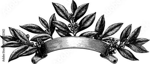Elegant heraldic frame with laurel border for vintage botanical design