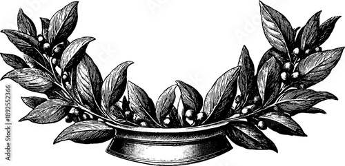 Vintage heraldic frame with laurel border botanical design for decoration and labeling