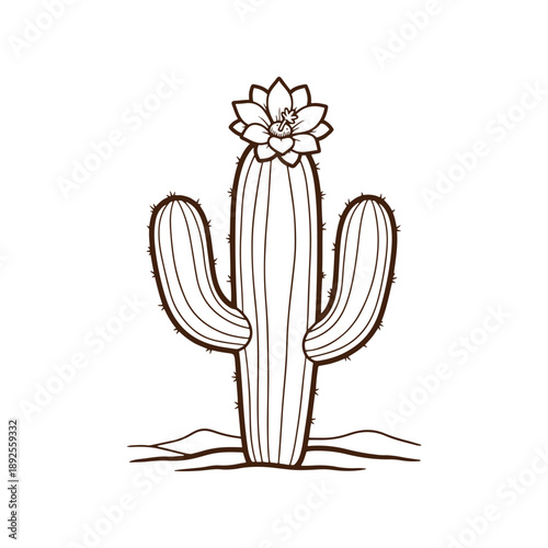 Cactus with flower illustration on white background