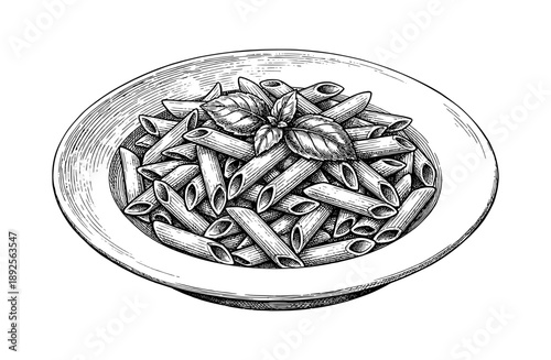 Hand drawn Penne pasta plate with basil leaves. Vector vintage engraving sketch of Italian food dish isolated on white background.