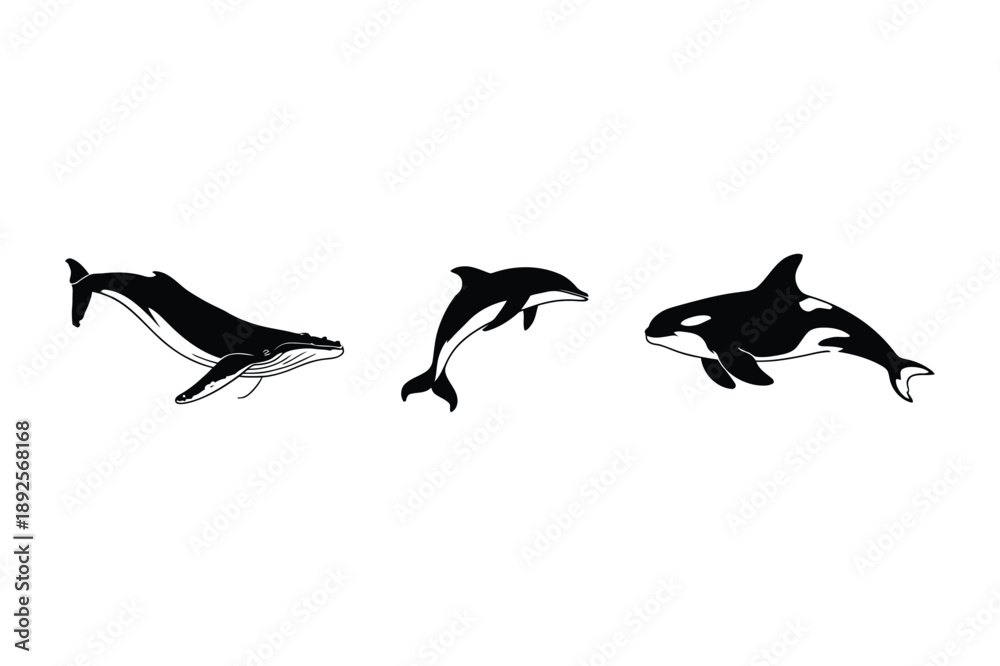 Obraz premium Silhouette Animals: Whale, Dolphin, Orca