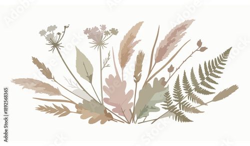 Vintage dried botanical watercolor poster vector illustration