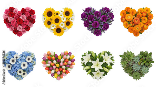 Floral heart set including roses, sunflowers, tulips, succulents, lilies, carnations, hydrangeas, and marigolds isolated. Romantic celebration and holiday decoration.
