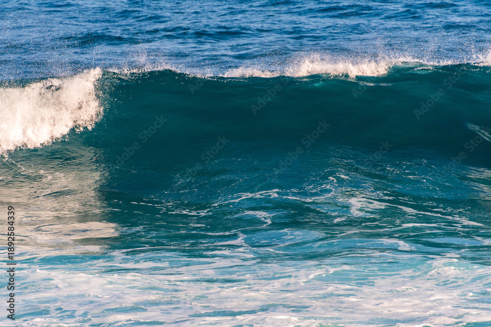 Fototapeta premium Costa en San Juan de la Rambla, Isla de Tenerife.