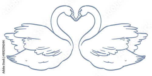 Line minimalist swans couple. Elegant birds with heart shape necks isolated on white background. Swan in ink victorian romantic style for wedding invitation card design. Hand drawn vector illustration