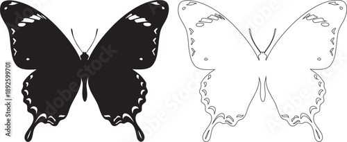Black and white butterfly silhouettes with line black and white insects 1 wings