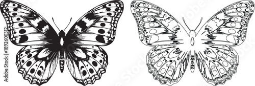 Black and white butterfly silhouettes with spotted wings insects