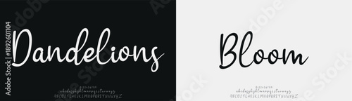 Dandelions Bloom, Abstract Script Fashion font alphabet. Minimal modern urban fonts for logo, brand etc. Typography typeface uppercase lowercase and number. vector illustration
 