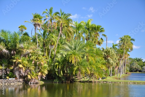Fairchild Tropical Botanic Garden in Miami, Coral Gables, Florida, USA.