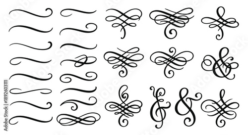 Calligraphic flourishes and ampersands in an elegant vintage typography style. A black hand drawn vector collection of swirls and text dividers for wedding invitations and logo monograms.
