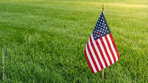 American flag planted in green grass during sunny day  