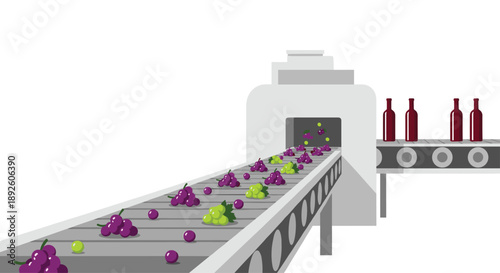 Automated Wine Production Line with Grapes on a Conveyor Belt and Bottling Machine