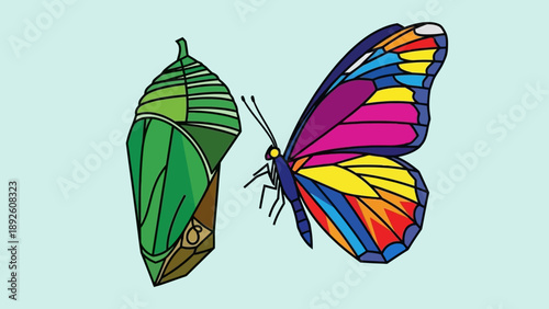 Colorful Butterfly Emerging from Chrysalis.