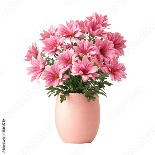 Pink flowers in a vase isolated on a transparent background