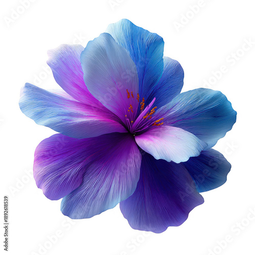 Vibrant purple and blue flower isolated on a transparent background