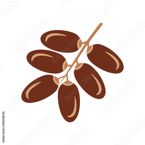 Cluster of ripe dates on a brown stem against a white background, illustration
