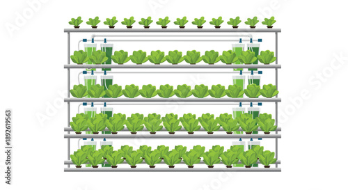 Modern Vertical Hydroponic Farming System With Rows Of Fresh Green Lettuce Growing Under Controlled Indoor Environment.