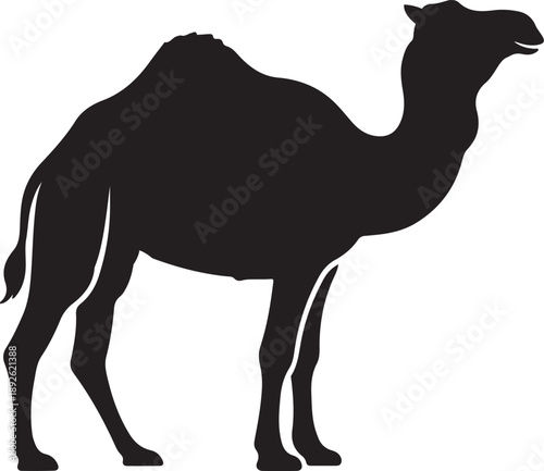 Classic black silhouette of a dromedary camel standing, perfect for desert themes and minimalistic designs