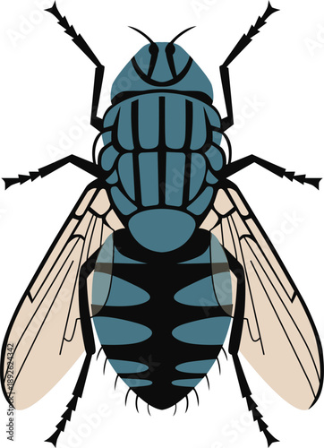 Illustration of a blue and black fly with transparent wings against a white background.