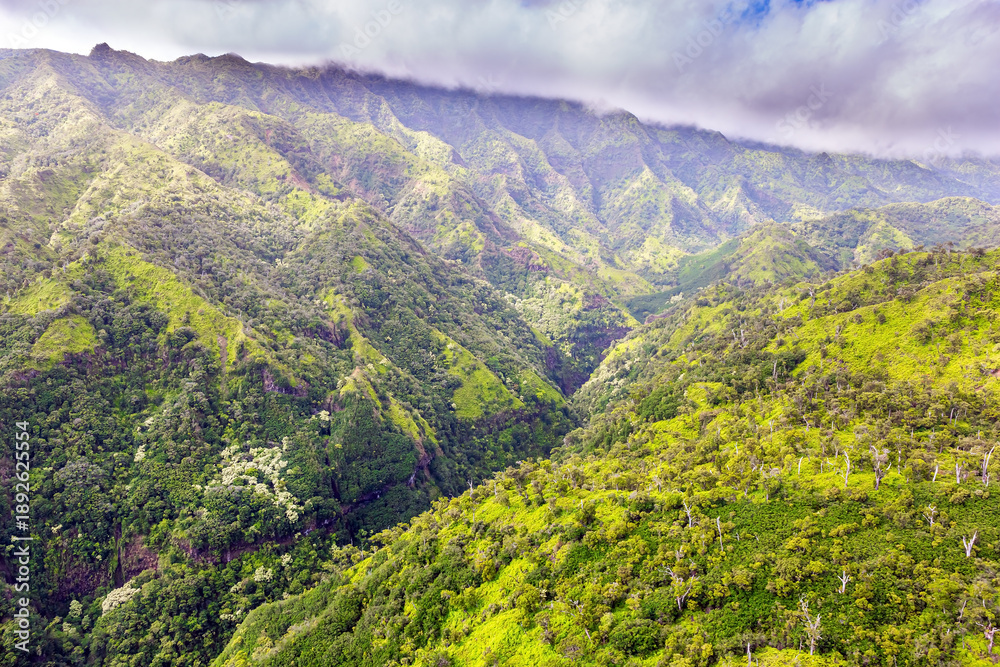 Obraz premium The tropical island of Kauai